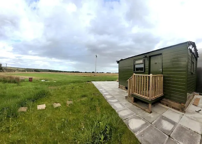 Runaway Northumberland